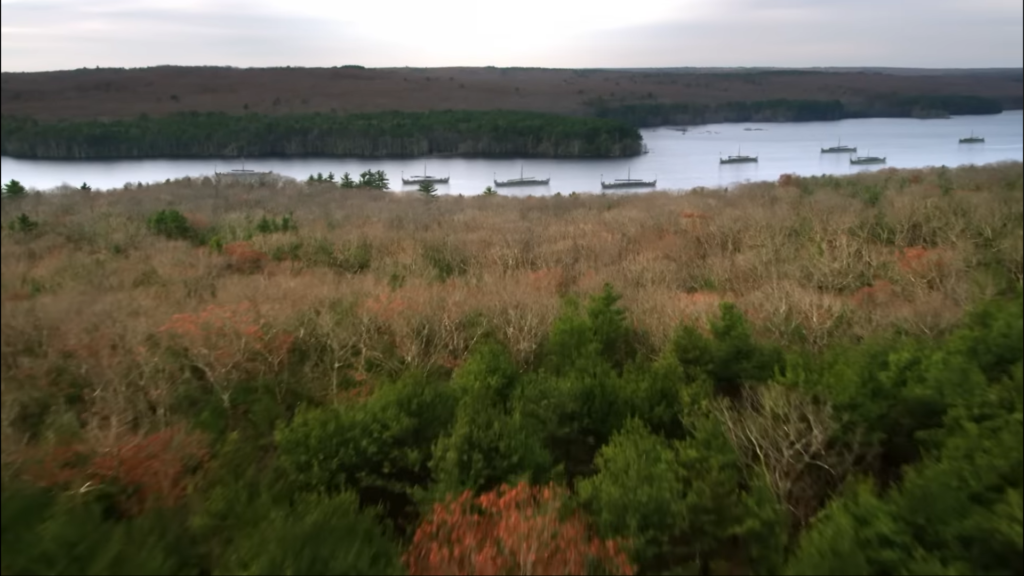 Kadr z serialu produkcji Brytyjskiej "Ostatnie królestwo / The Last Kingdom"